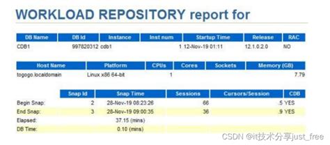 Oracle AWR报告详细分析_羽之大公公的博客-CSDN博客