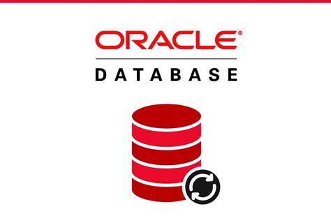 Oracle Database İnstancenbi