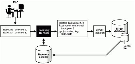 Oracle RMAN : Restore recover database until time - Learn IT with …