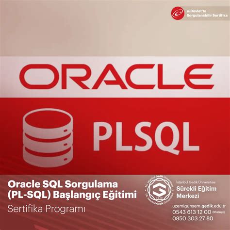 Oracle SQL Sorgulama (PL-SQL) Temel BT Akademi. 