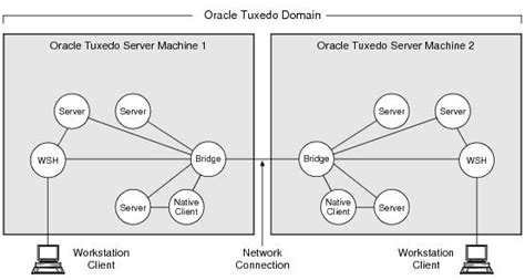 Oracle Tuxedo System Administration and Server Processes