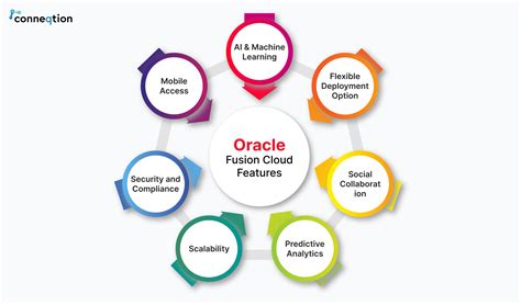 Oracle fusion cloud.  Analyze complex business processes, identify risks and issues, a...