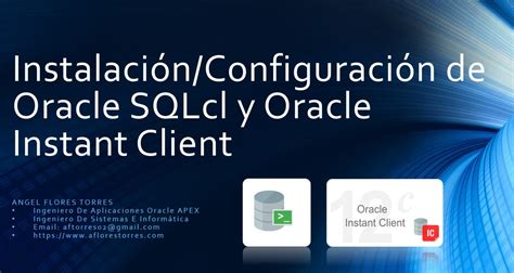 Oracle instant client. .  Oracle es una compa&ntilde;&iacute;a de TI que ofrece u...
