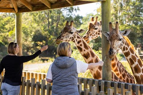 Orana Wildlife Park (Christchurch): All You Need to Know