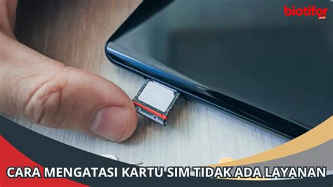 Orang mati hidup kembali togel. Kartu sim tidak ada layanan. Cara main judi remi.