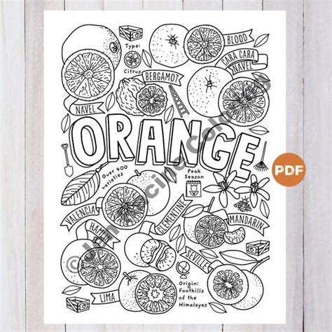Orange Coloring Shee