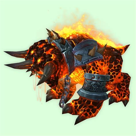 Orange Core Hound - Pet Look - WoW Petopia