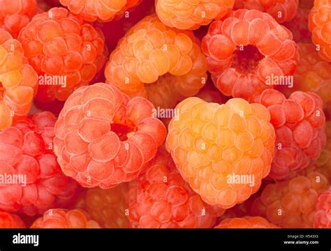 Orange Raspberry Name Raspberry