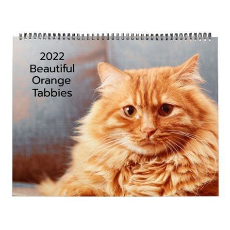 Orange Tabby Cat Calendar - Etsy