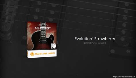 Orange Tree Samples - Evolution Strawberry v1.1.61 (KONTAKT)