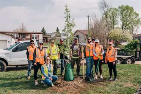 Orange county free tree program 2019.  Read real local reviews and grades from...