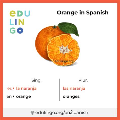 Orange in spanish. Things To Know About Orange in spanish. 