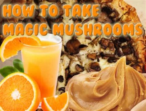 Orange juice and shrooms. 699K subscribers in the shrooms community. A place to discuss the growing, hunting, and the experience of magical fungi. ... When mixing Shrooms with Orange Juice ... 