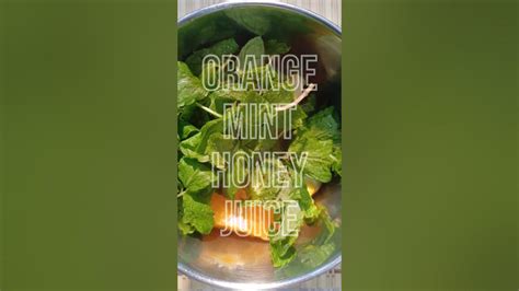 Orange mint and honey discussion questions