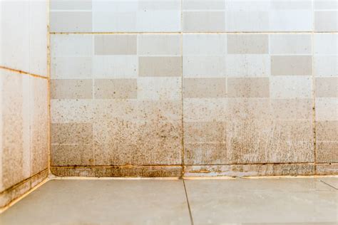 Orange mold in shower. Aug 17, 2021 ... The shower is where mold and mildew often grow so take note of these Port Orange tile and grout cleaning tips here to prevent these ... 