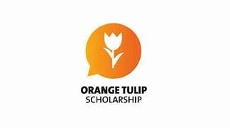 Orange tulip scholarship.  Unlike many fully standardized .  🌷 NETHERLANDS OR...
