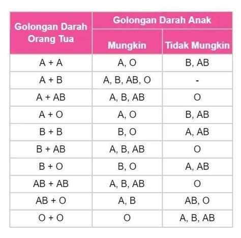 Cara budidaya jamur kancing dengan mudah dan 4 tahapannya