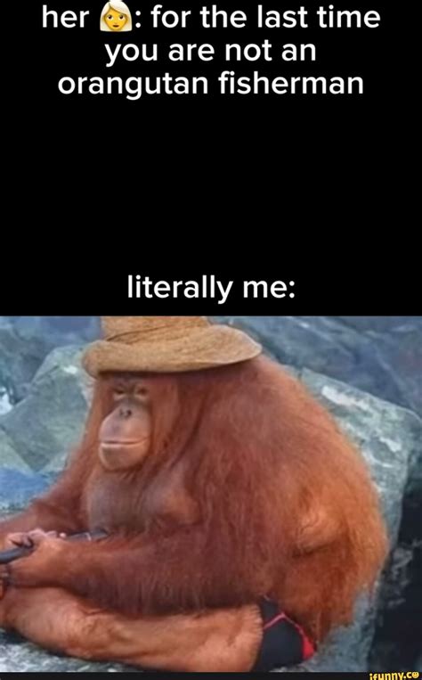 Orangutan memes. Best Collection of funny Orangutan pictures on …