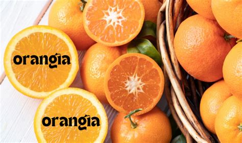 Orangîa - canette achat en ligne au meilleur prix sur E.Leclerc. Retrait gratuit dans + de 700 magasins