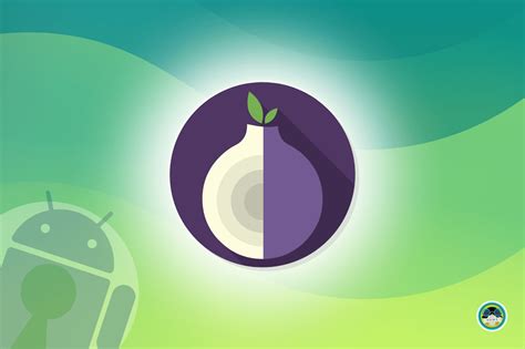 Обзор Orbot для Android - Игровые возможности и настройки