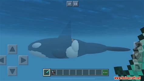 Orca / Killer Whale Addon (1.19, 1.18) – MCPE/Bedrock Mod - 9Minecraft