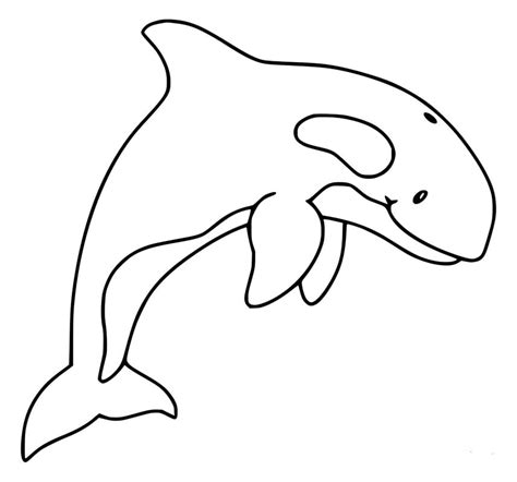 Orca Coloring