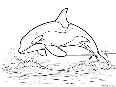 Orca Coloring Shee