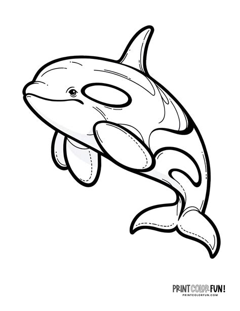 Orca Whale Coloring Pages