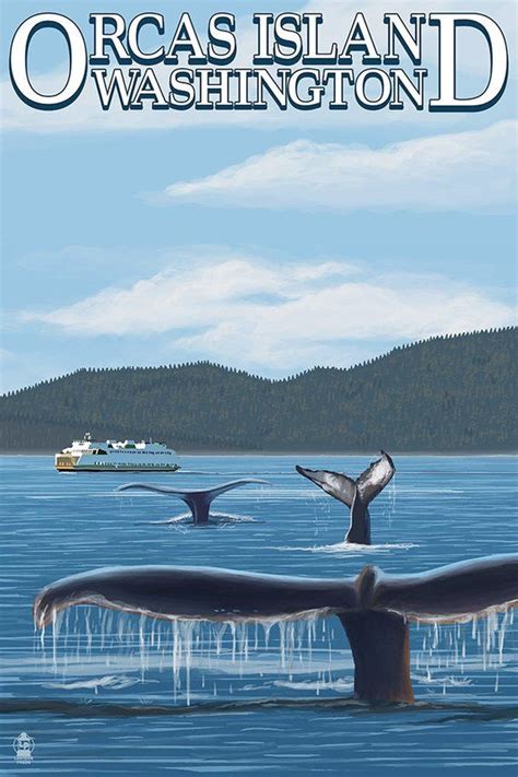 Orcas Island, WA, Whales and Ferry (Premium T-Shirt)