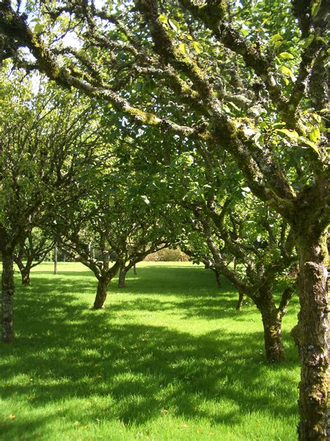 Orchard Earth & Pipe Corp. in Solvay, NY - Bizapedia