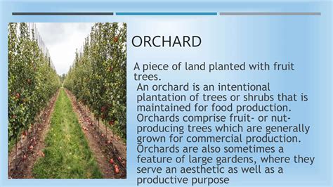 Orchards portal.  Refer to the Help page for details. gov.  Orchards comprise fru...