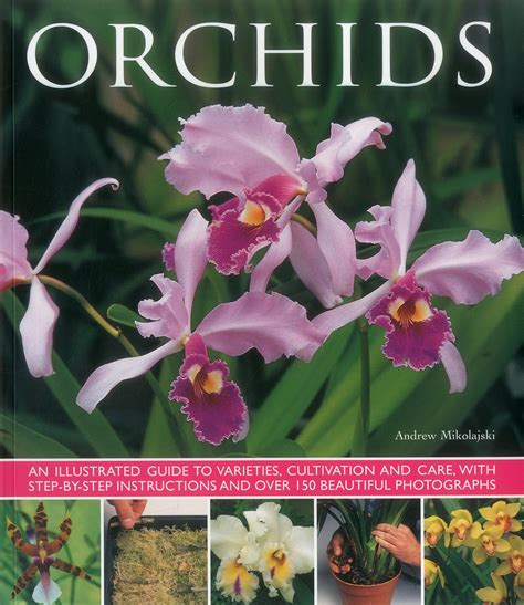 Orchids an illustrated guide to varieties cultivation and care with step by step instructions and over 150. - The animator motion capture guide book.
