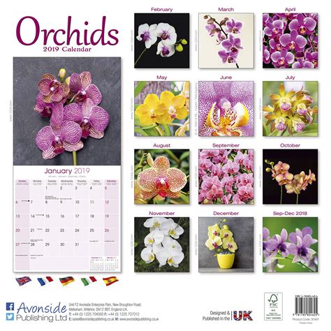 Read Orchids Calendar 2020 By Avonside Publishing Ltd