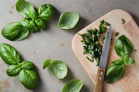 Order Basil