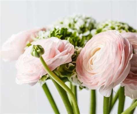 Order Flowers Online - Flower Merchants