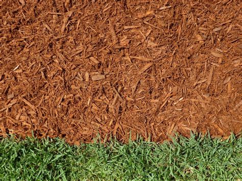 Order Mulch Major Mulch Installations Orlando, Florida