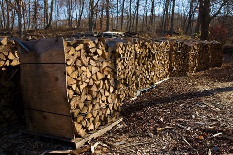 Order hauserfirewood