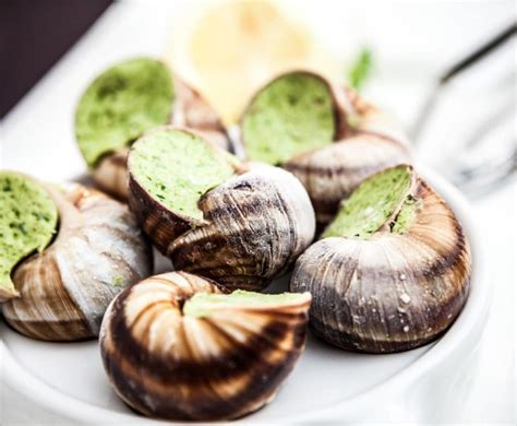 Order live escargot snails wholesale online in Snails …