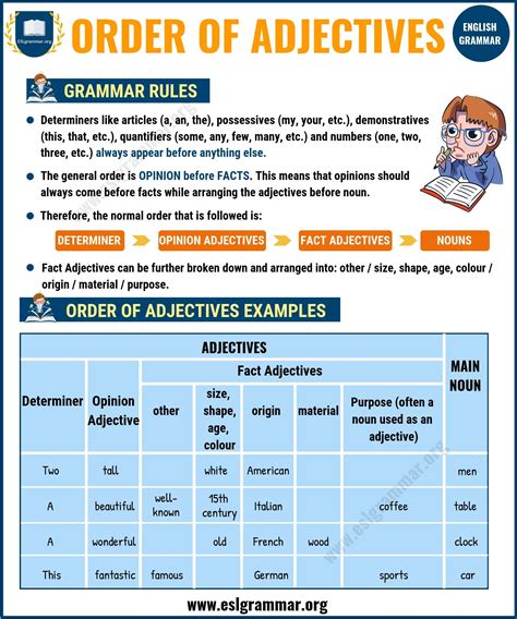 Order of the adjectives Grammar