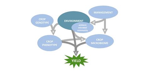 Ordination as an aid in determining priorities for plant community ...