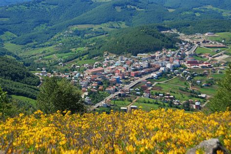 Ordu Akkus terapi halı yıkama