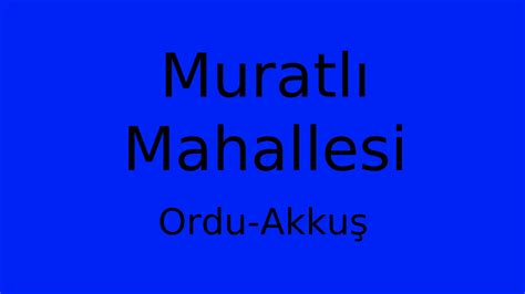 Ordu Akkus Muratli Mahallesi terapi halı yıkama