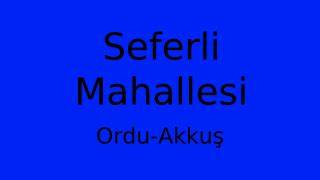 Ordu Akkus Seferli Mahallesi terapi halı yıkama
