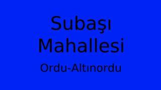 Ordu Akkus Subasi Mahallesi terapi halı yıkama