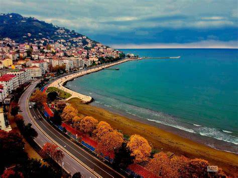 Ordu Altinordu terapi halı yıkama