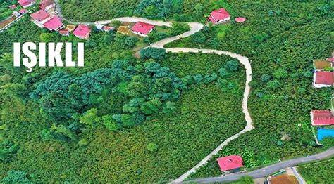 Ordu Altinordu Isikli Mahallesi terapi halı yıkama