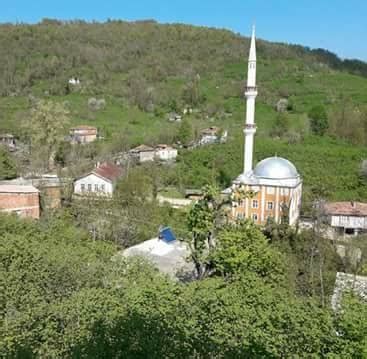Ordu Camas Yeni Mahallesi terapi halı yıkama