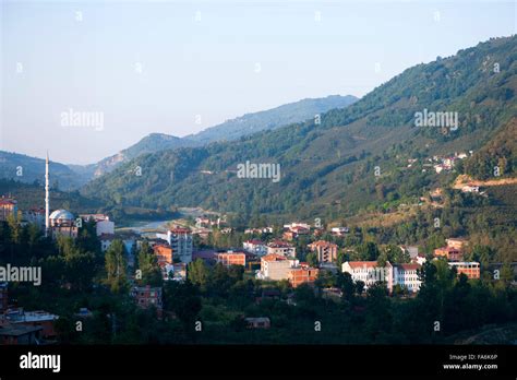 Ordu Catalpinar terapi halı yıkama