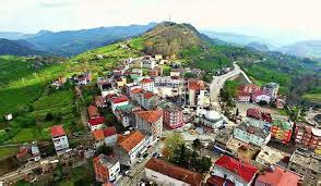Ordu Caybasi terapi halı yıkama