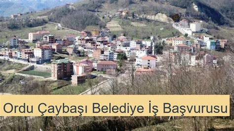 Ordu Caybasi Candir Mahallesi terapi halı yıkama